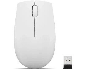Mouse-Lenovo-300-Wireless-Compact-Mouse -Cloud-Grey-GY51L15677-chisinau-itunexx.md